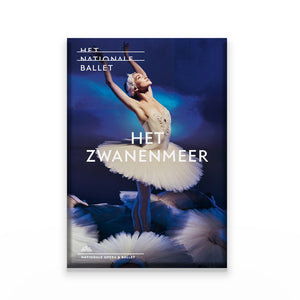 Zwanenmeer magneet